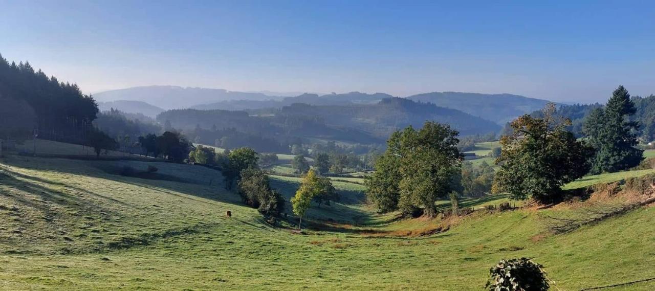 La Mazille , Cossy Vakantiestudio Met Zwembad In Zuid-Bourgogne Anglure-sous-Dun Zewnętrze zdjęcie