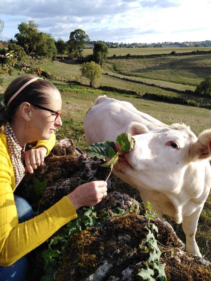 La Mazille , Cossy Vakantiestudio Met Zwembad In Zuid-Bourgogne Anglure-sous-Dun Zewnętrze zdjęcie