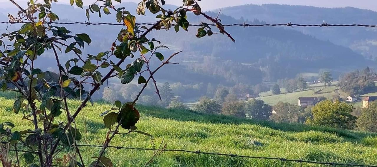 La Mazille , Cossy Vakantiestudio Met Zwembad In Zuid-Bourgogne Anglure-sous-Dun Zewnętrze zdjęcie